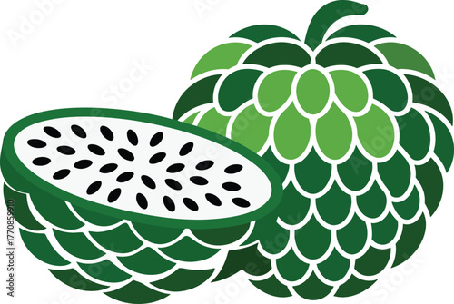 Fresh sugar apple and half custard apple with black seeds vector