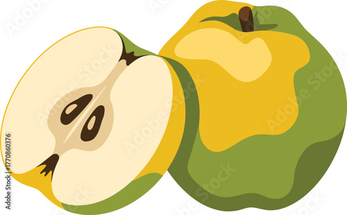 Green Quince Fruit Whole and Half Cut Vector Illustration