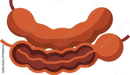 Human Intestines Digestive System Anatomical Organ Vector Illustration