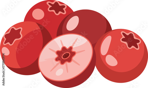 Pile of whole and sliced red cranberries vector illustration