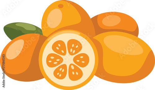 Pile of Whole Kumquat Fruits and Sliced Cross Section with Leaves Vector Illustration Citrus