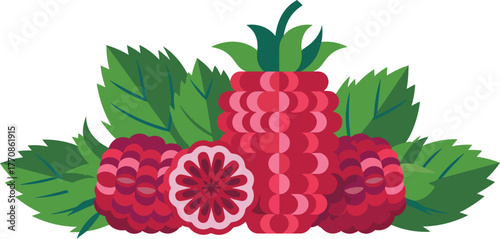 Ripe Raspberry Berries with Green Leaves Fresh Summer Fruit Vector Illustration