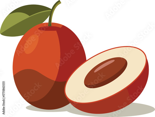 Whole Lychee Fruit and Sliced Cross Section with Seed Vector Illustration Fresh Asian Berry