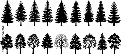 Silhouettes of coniferous and deciduous trees in two rows, showcasing seasonal diversity, forest shapes, and botanical structure for design use.