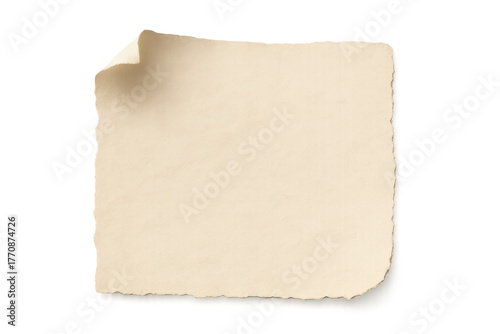 Wallpaper Mural Old blank scroll or vintage parchment paper with curled torn edge and copy space on transparent background for message Torontodigital.ca