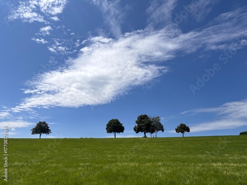 Peaceful Countryside Panorama with Lush Green Pasture, Tree Line, Blue Sky, White Clouds, and Small Cross in Nature