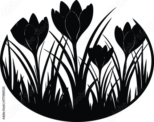 Crocus Blooms in Spring Meadow Silhouette | Early Spring Flower Field Scene