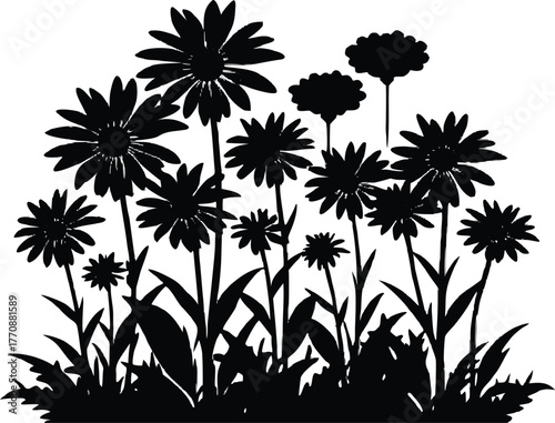 Daisies Under Morning Haze Silhouette | Soft Sunrise Over Daisy Field