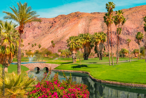 Bright Bougainvilleas grow alongside the water and fountains in a  green belt in Palm Springs, California
