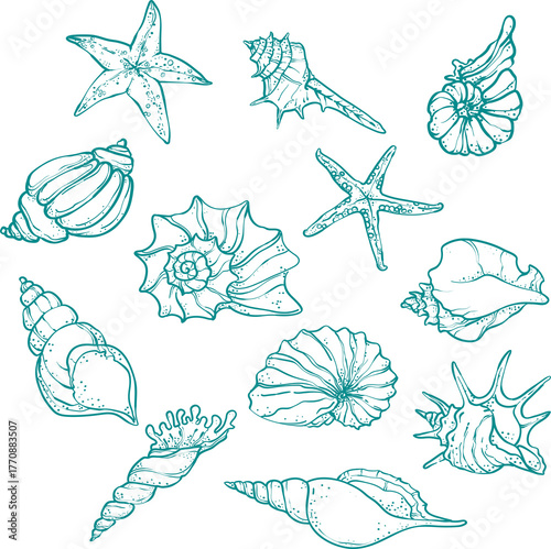 Blue line art sea elements set. Stylish blue line art set of sea elements — starfish, shell .