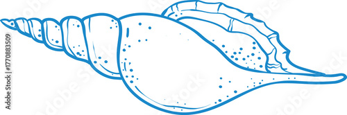 Elegant blue line art illustration of a seashell. Minimalistic marine design with smooth curves