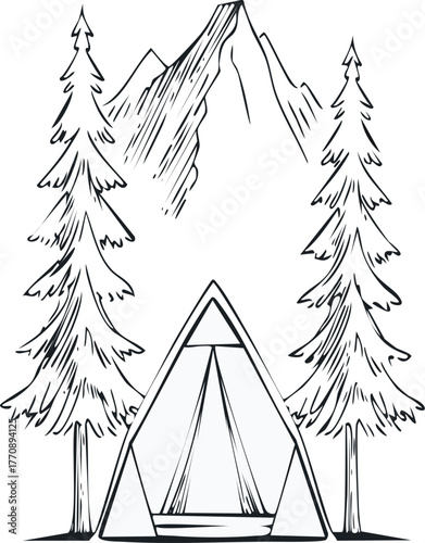 Camping tent in the mountains with pine trees