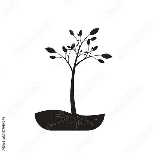 tree plant vector illustration design