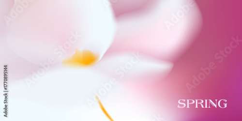 Spring ethereal gentle white flower. Pink blurred unfocused background with tender flower. Soft gradient. Delicate macro botanical, natural vector illustration.