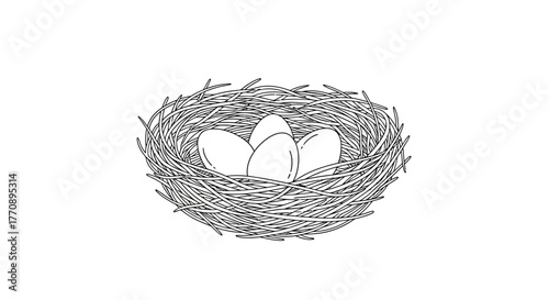 Delicate bird's nest cradles four precious eggs, symbolizing new beginnings, nature's care, and potential growth.