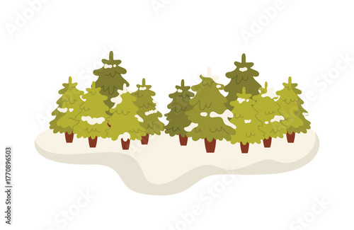 Cartoon pine trees with snow in a Finland winter forest on an isolated white background vector illustration