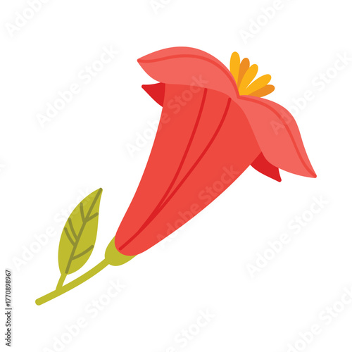 Simple isolated red Chilean bellflower with green leaf on white background vector illustration