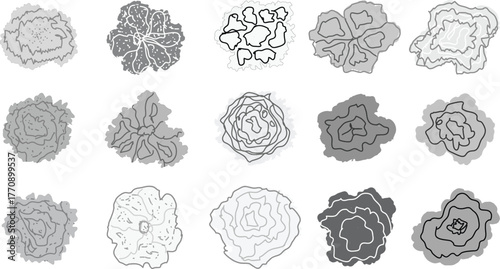 CAD Drawings. Set of Tree Top View Outline Symbols in Minimal Vector Style for Landscape Architecture, Urban Planning, and Garden Design