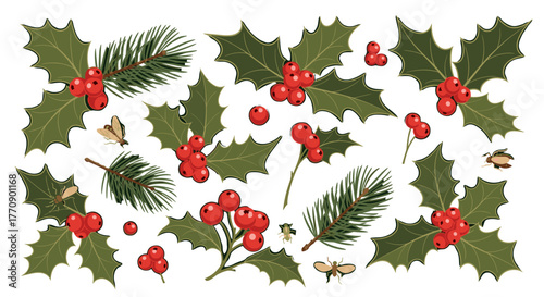 Christmas holly and pine branch elements