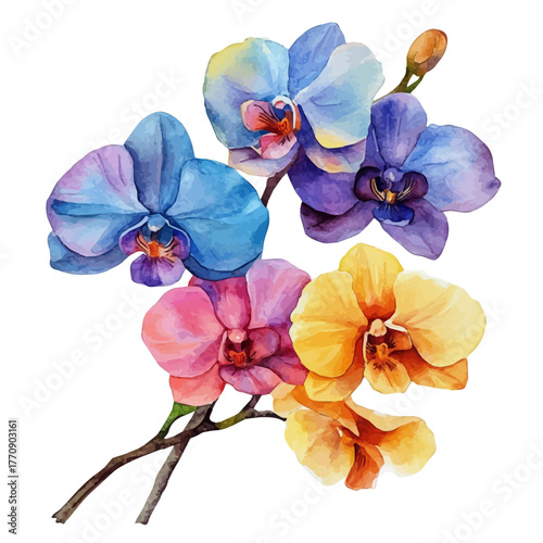 Orchid Flower, watercolor vector, isolated on a white background.