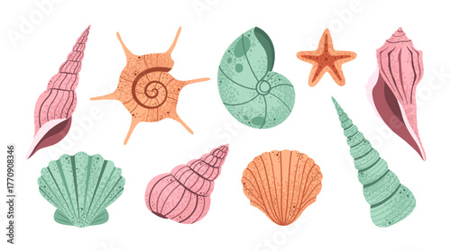 Hand drawn seashell. Sea shells collection, ocean shell set with marine mollusk and starfish, beach marine life elements. Summer vacation, nautical seaside design elements vector set
