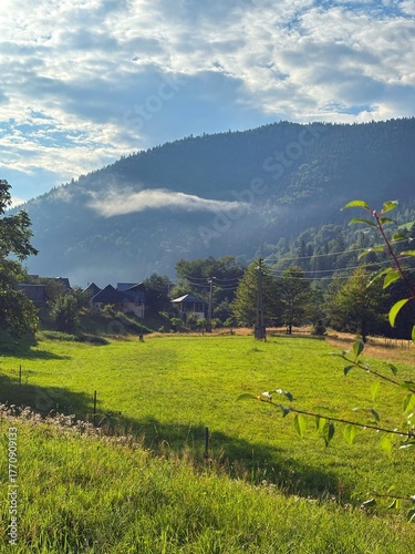 Tranquil, misty mountain scene. Idyllic view of a small village and field in the valley, with soft light and a distinct fog line across the dark green, wooded slopes.