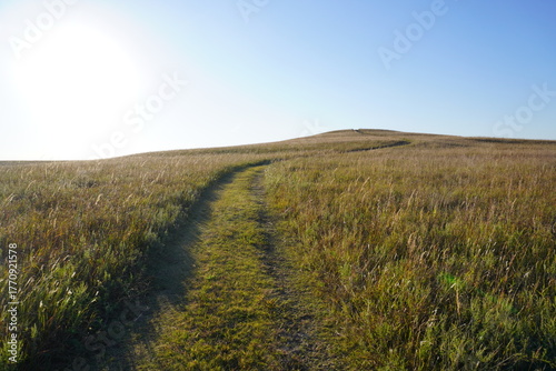 Scenic country road across the Great Plains