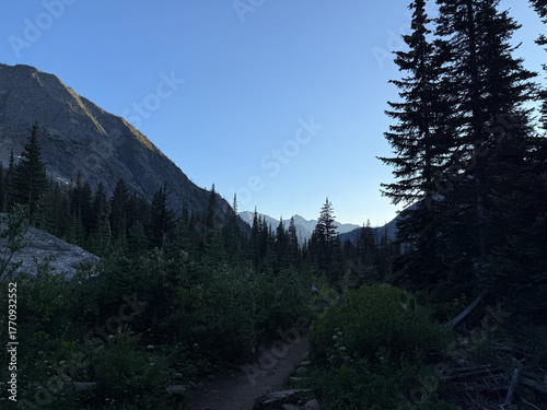 Glacier view framed by leafy trees in Mount Rainier National Park.USA, Washington july 19 2025.