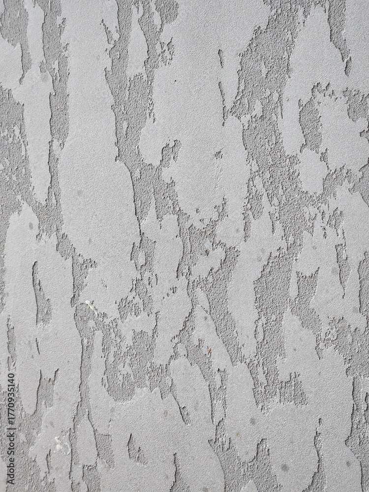 Obraz premium Decorative wall plaster. Texture of decorative wall plaster