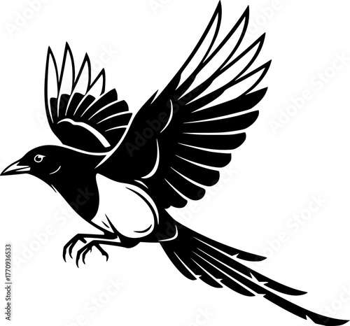 Magpie - High Quality Vector Logo - Vector illustration ideal for T-shirt graphic
