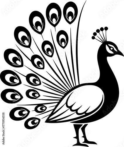 peacock - black and white isolated icon - vector illustration
