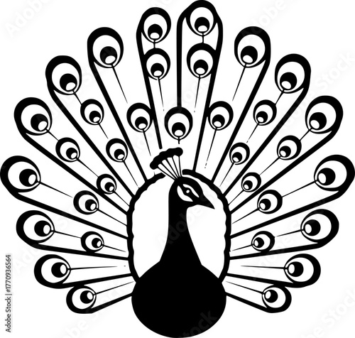 peacock - black and white isolated icon - vector illustration
