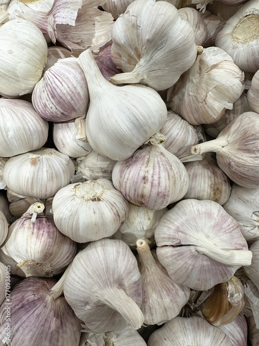 Bountiful pile of fresh garlic bulbs with papery white skins, subtle purple hues, and green stems, evoking rustic farm-fresh abundance in a close-up view