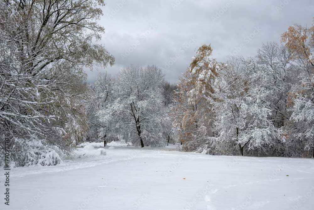 Fototapeta premium Panorama of South Park in city of Sofia, Bulgaria