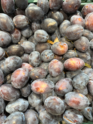 Heap of ripe purple plums in a green plastic crate, displaying glossy deep blue-black skins with subtle red undertones and fresh, juicy appeal from the harvest
