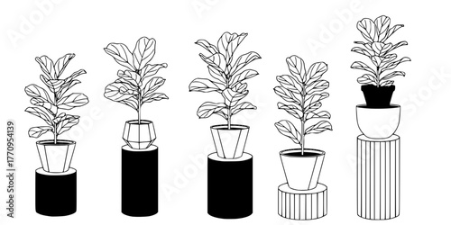 Biophilic Potted Fiddle Leaf Plant Minimalist Line Art Vector