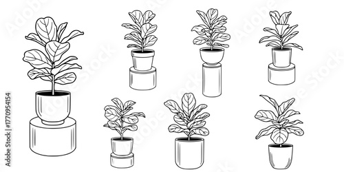 Biophilic Potted Fiddle Leaf Plant Minimalist Line Art Vector