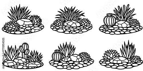 Xeriscape Rock Garden Drought Tolerant Flat Vector