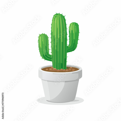 Potted cactus in small ceramic pot
