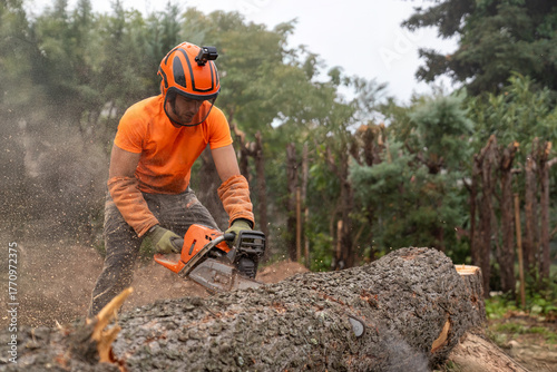 Arborist working, cutting a tree trunk with a chainsaw in a forest, sawdust flying around, wearing protective gear