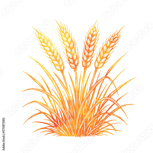 Yellow wheat object. Hand drawn. Not AI, vector illustration.