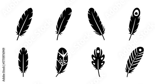 Elegant feather designs evoke nature's delicate beauty and freedom