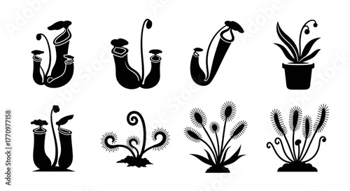 Diverse collection of carnivorous plants in silhouette, showcasing unique pitcher and sundew shapes.