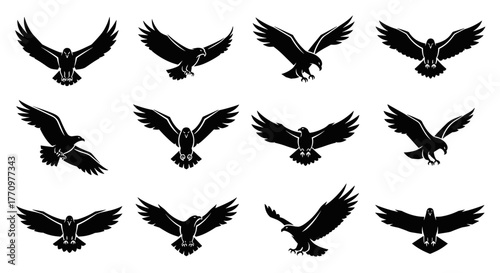 Dynamic eagle silhouettes capture freedom and power in flight collection