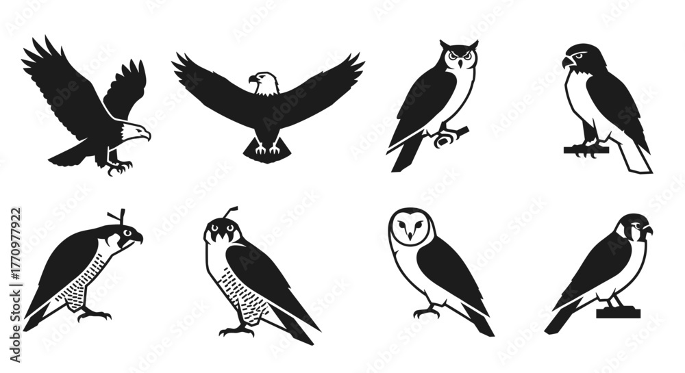 Obraz premium Majestic birds of prey collection featuring eagles, owls, and falcons in dynamic poses
