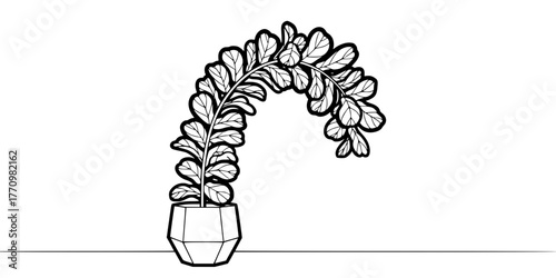 Biophilic Fiddle Leaf Plant Minimalist Line Art Vector