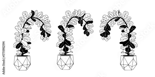 Biophilic Fiddle Leaf Plant Minimalist Line Art Vector