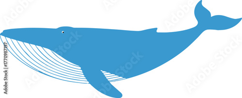 whale stylized blue whale vector clipart marine life illustration
