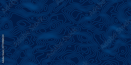 The concept of a conditional geography scheme and the terrain path. Topographic map. Geographic mountain relief. Abstract lines background. Contour maps. Vector illustration.	