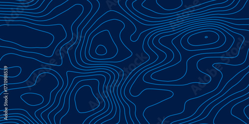 The concept of a conditional geography scheme and the terrain path. Topographic map. Geographic mountain relief. Abstract lines background. Contour maps. Vector illustration.	